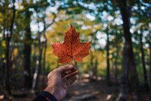 A hand holding out an orange maple leaf, in reference to new to Canada mortgages. 